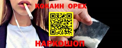 дживик Кингисепп
