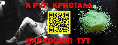 дживик Кингисепп